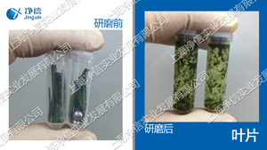 植物組織處理系統(tǒng) Wonbio-48P