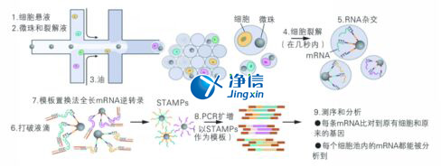 中國(guó)人自己的單細(xì)胞測(cè)序儀來(lái)了！